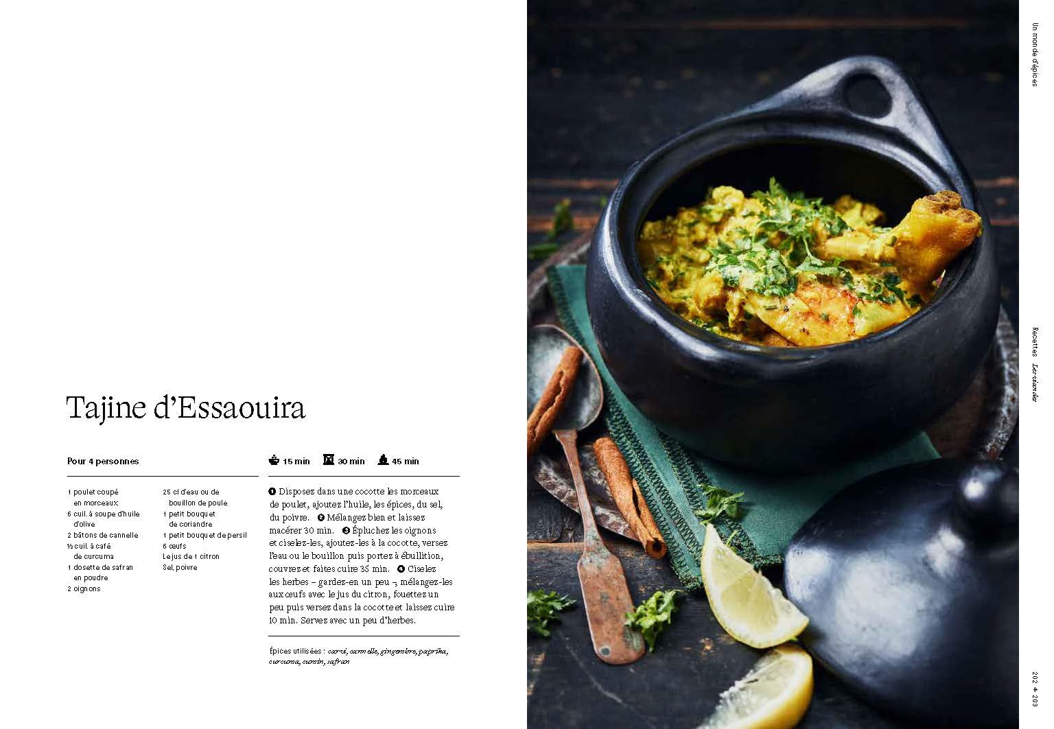 Un monde d'épices: Les connaître, les mélanger & 100 recettes pour les cuisiner