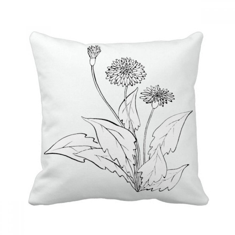 Coussin pissenlit noir et blanc pour revitaliser un canapé terne et usé