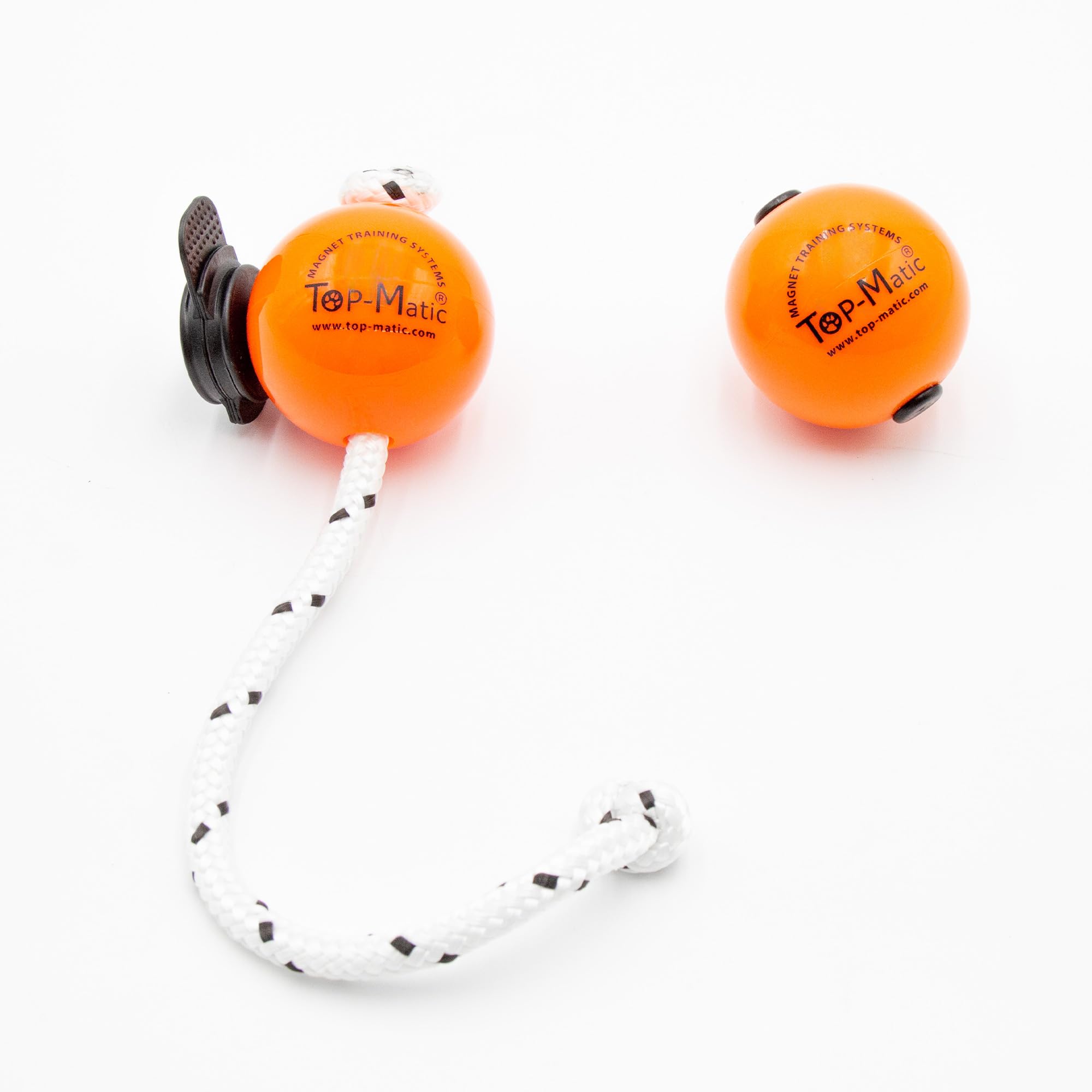 Magnetic Training Ball – 2.5" Diameter, Earth Magnet Reward Tool for Professional Dog Trainers, Works with Magnetic Training Systems