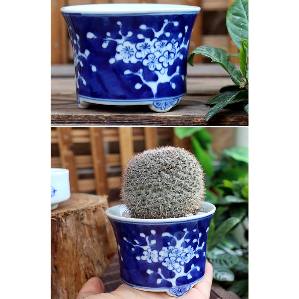 Jingdezhen Chinoiserie Keramik handbemalt blau und weiß Porzellan Pflaumenblüte Spargel Sukkulenten Bonsai Zimmerpflanze Topf Dekoration Dekoration