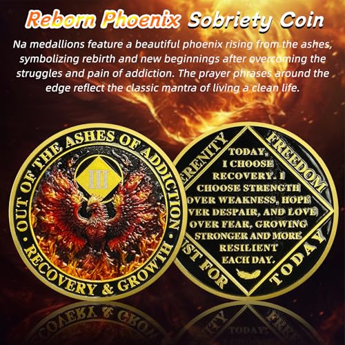 delicate phoenix 3 year na medallions - reborn from fire sobriety coin - three year recovery addiction token - celebrate clean and sober chip - 1-10 prime narcotics anonymous gifts for men women