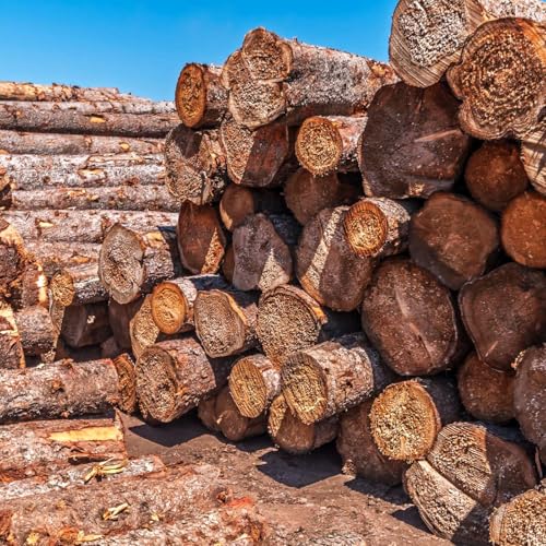 A Controversy in the Northern Mill Industry