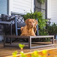 Vista 2 de FUZI Up Pup - Cama elevada para perros, cuna refrescante, marco de hierro fuerte y pies antideslizantes para uso en interiores o exteriores, cama