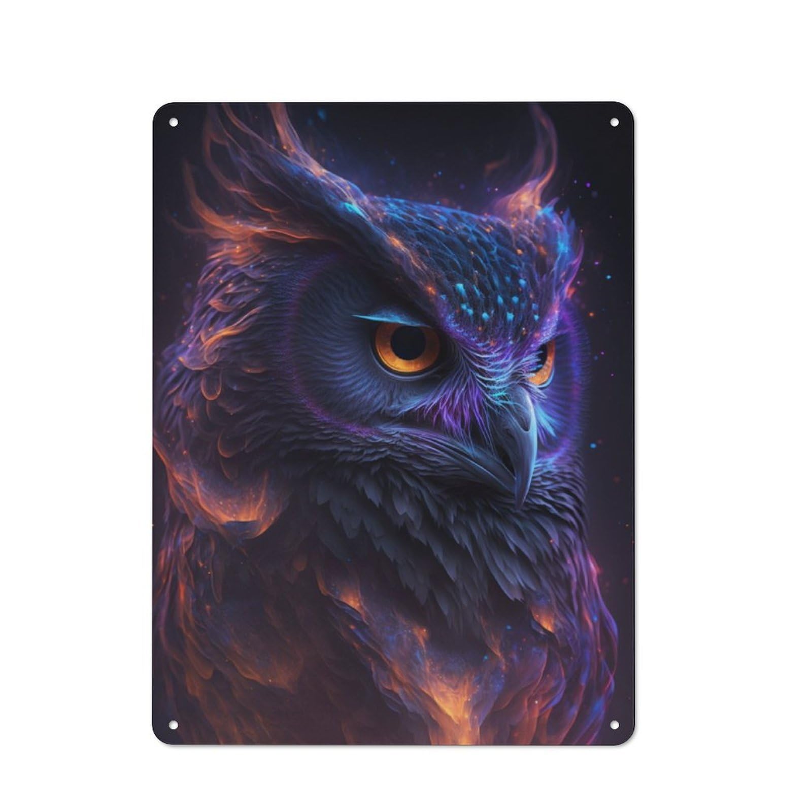 Junmoney Galaxy Owl Bird 40X30cm Retro Metal Plaque With For Kitchen Or Home Bar, For Garage, Workshop And Man Cave Decoration