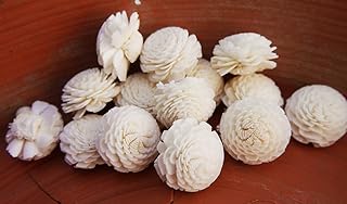 50 Small Jusmines Artificial Sola Wood Flower Diffuser Flowers 2 cm Dia. for Decorate Craft