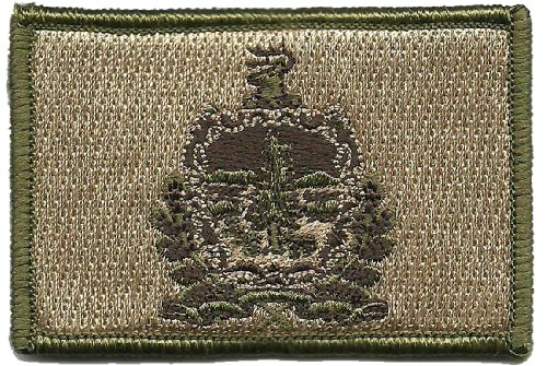 Gadsden and Culpeper Tactical State Patch - Vermont - Multitan
