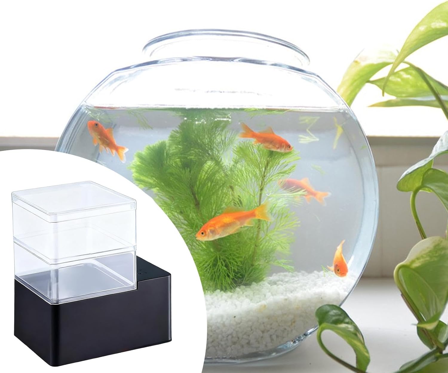 Auto Fish Feeder Accessory for Round Aquarium Tank 5cm to 2cm Thickness Mounting Bracket Supplies Automatic Fish Food Dispenser- 240 ml