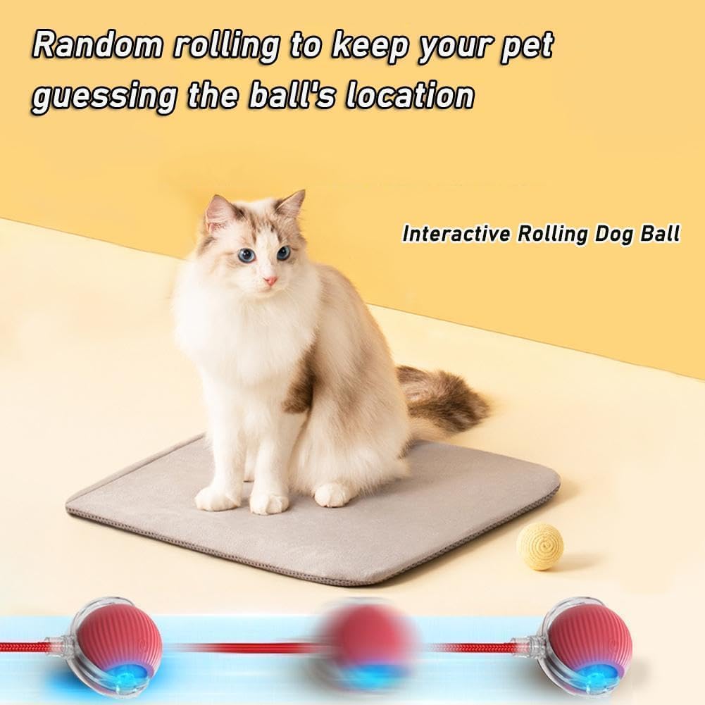 Interactive Dog Ball - Automatic Moving Cat Toy Puppies Toys - Motion Activate 360° Smart Automatic Rolling Pet Ball for Indoor (Red) - 4