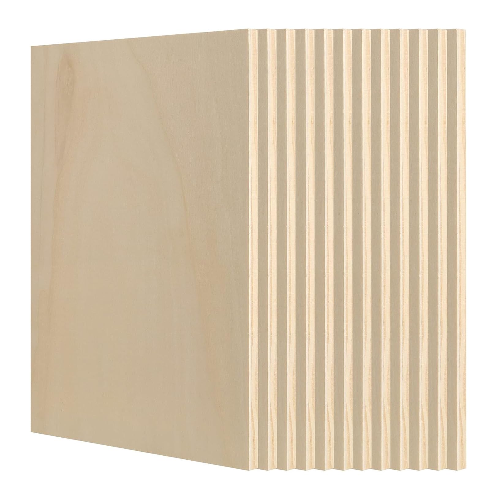 12 pannelli di tela in legno, 30,5 x 22,5 cm, pannelli di legno non verniciati per dipingere, disegnare, artigianato