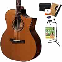 gopherwood guitars アコースティックギター（備品付き） gopherwood guitars アコースティックギター（備品付き）