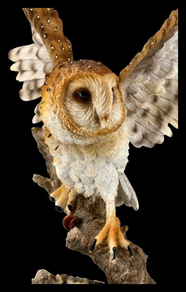 Figuren Shop GmbH Gufi Statuetta - Barbagianni Grande Vogel-Figur, Figura-Decorativa, Articolo Decorazione, Statua, Scultura, H 37,5 CM