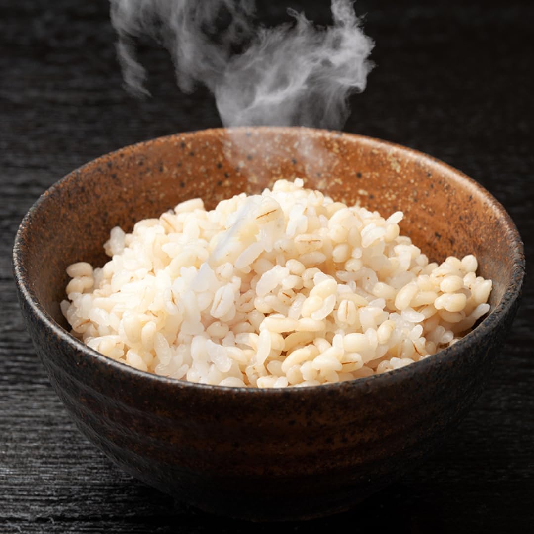 バイオテックジャパン ロカゴ 麦ごはん 糖質50％オフ カロリー43％オフ 食物繊維8.5g 国産大麦41％使用 ラベルレス 無地パッケージ