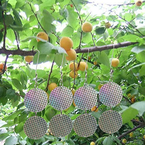 Repeller glitter disque pour préserver les cerises du jardin - 8