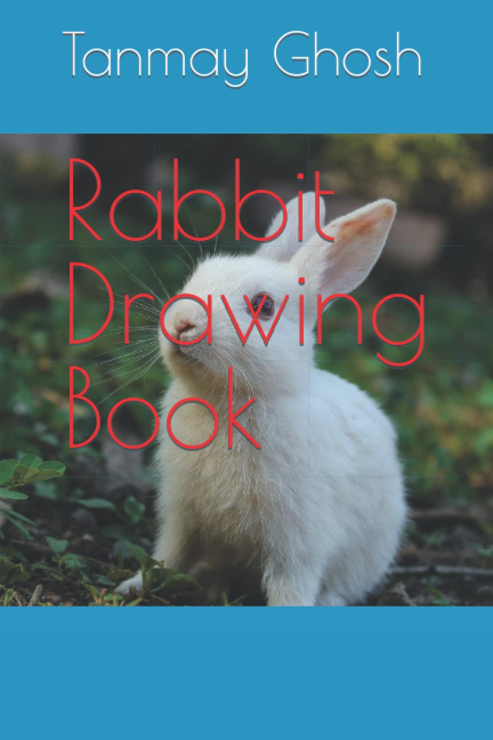 Rabbit Drawing Book