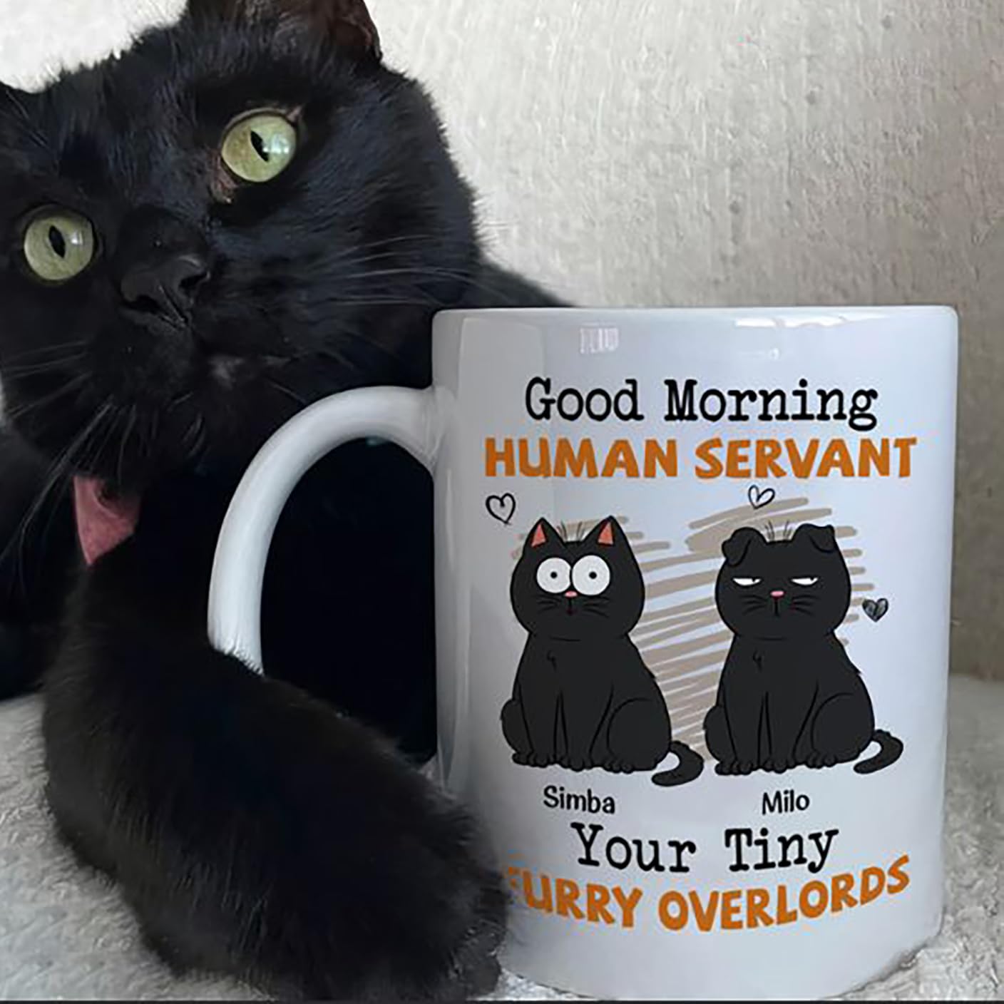 Personalized Good Morning Human Servant Cat Mug, Custom Cat Breeds Tea Cup, Gift For Cat Lovers Dog Cat Cat Dad From Son Daughter On Birthday Christmas Fathers Day, 11 Oz 15 Oz Pet Coffee Mug
