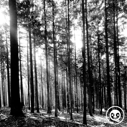 deep story nr. 225 | remember | by wilson.solidarity