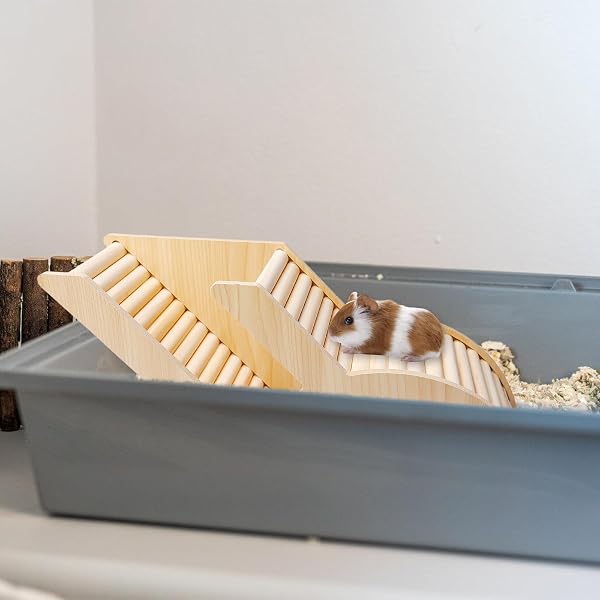 Hamster Tunnel, 31.6*14,5cm Hamster Kletterleiter, Hamster Versteck Käfig, Degushaus aus Holz Watchbox Rennmäuse, Brückenkäfig-Dekoration, Holz-Kletterspielzeug für Rennmäuse Stachelmäuse Degus - 5