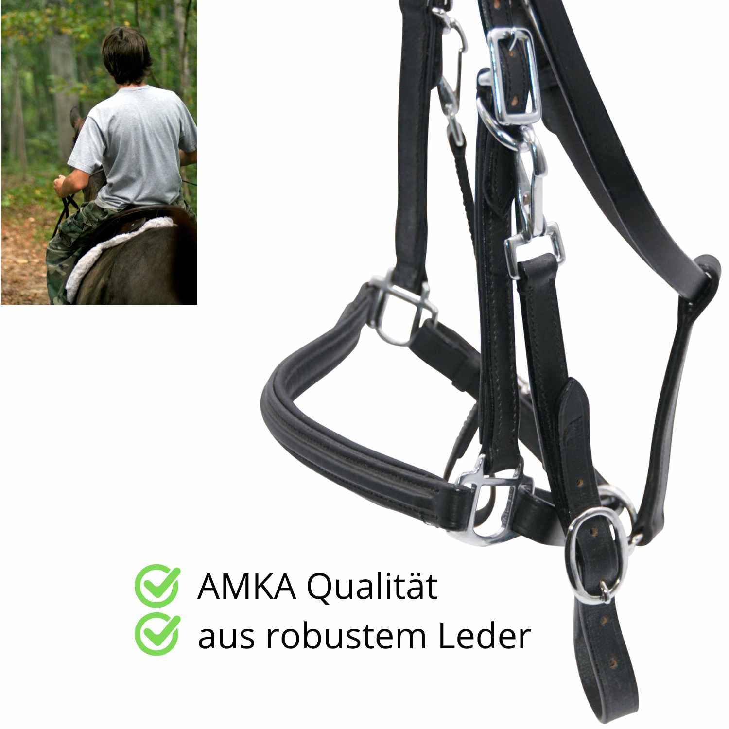 AMKA Zaum-Halfter Kombination schwarz mit Gurtzügel