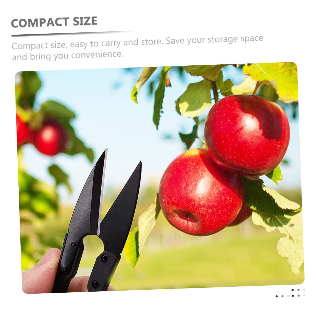 Sosoport 60stücke Bonsai Schneidescheren Für Präzises Trimmen Von Pflanzen Ergonomisches Design Für Gartenliebhaber Für Bonsai Und Blumenschneider