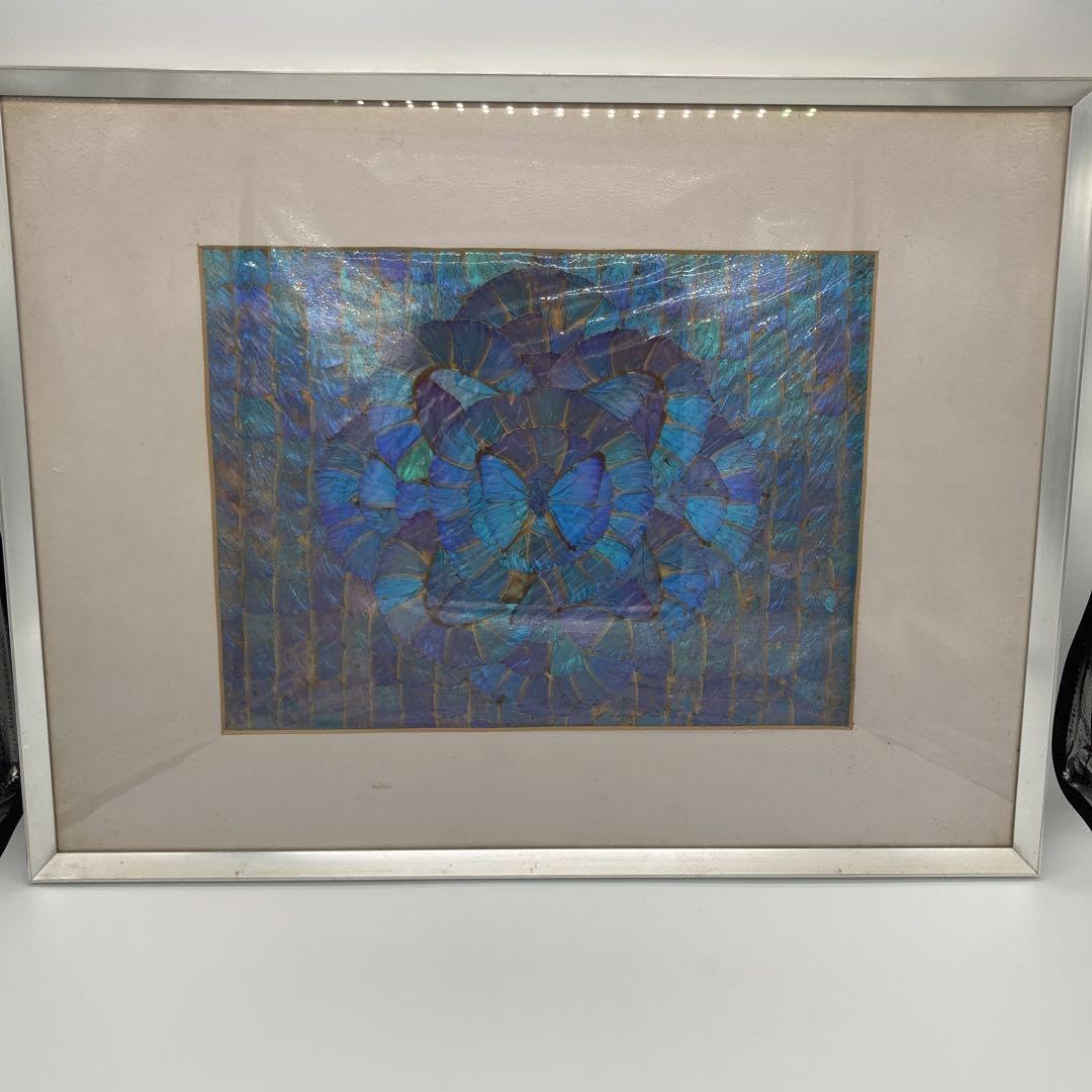 【レア】　モルフォ蝶　アート　標本　芸術　コレクション　海外　美術　絵　昆虫　⑥ Amazon.co.jp: レア モルフォ蝶 アート 標本 芸術 コレクション