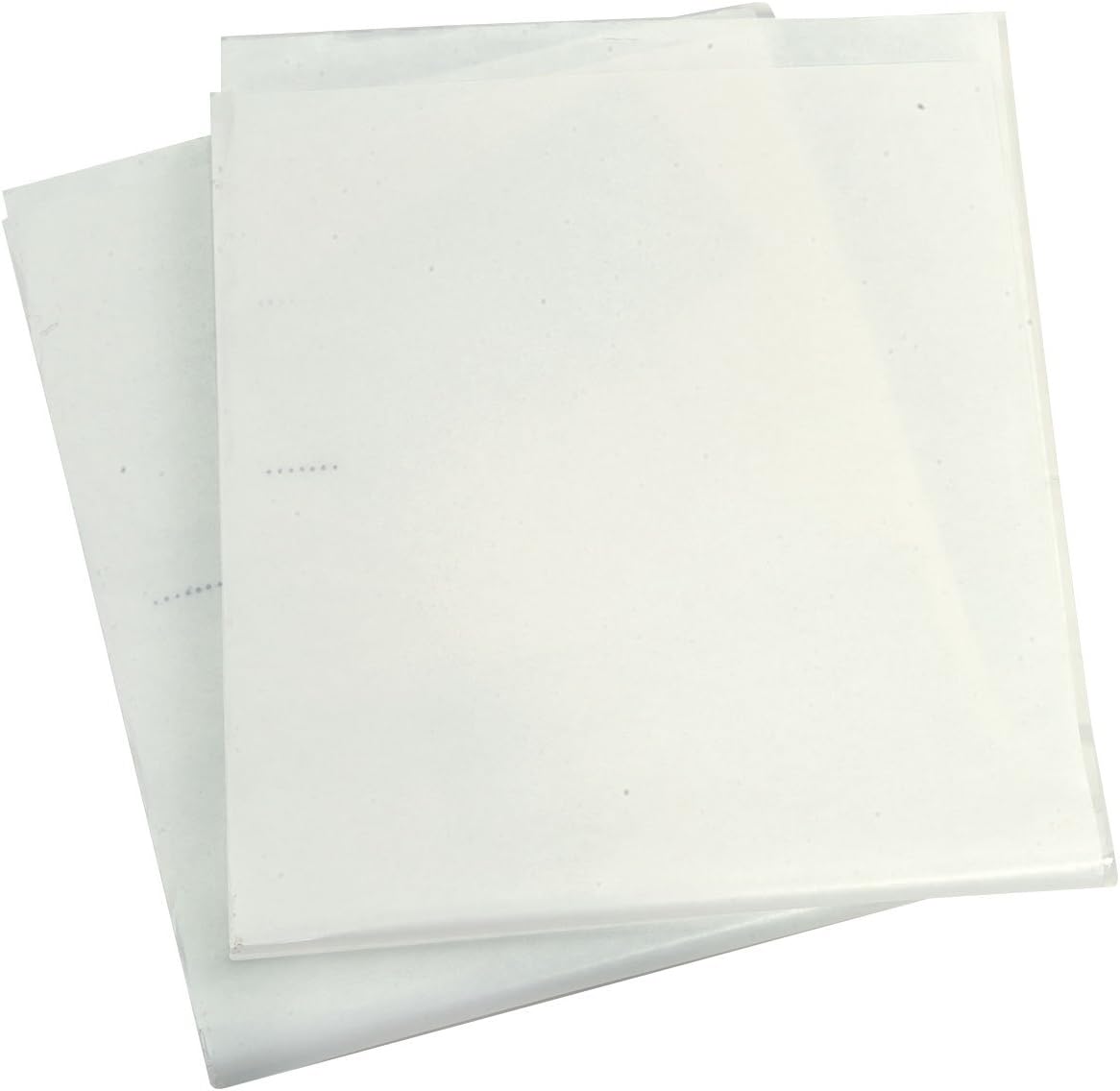 Face Fly Trap White Replacement Sleeves 10 Pack