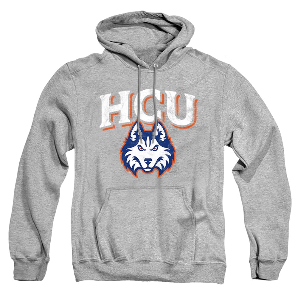 LOGOVISION Official Collegiate Distressed Primary Logo Adult Pullover Hoodie Collection — view 217