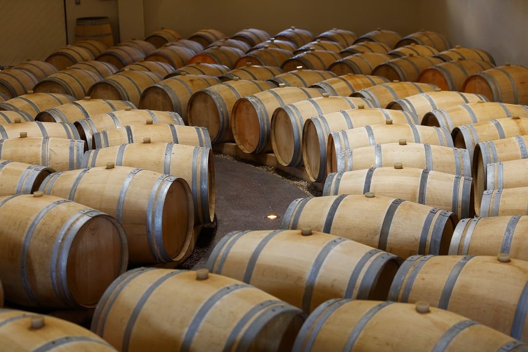 Château du Lort - AOP Bordeaux Supérieur - Vin Rouge - Terra Vitis - Lot de 6 bouteilles x 75cl