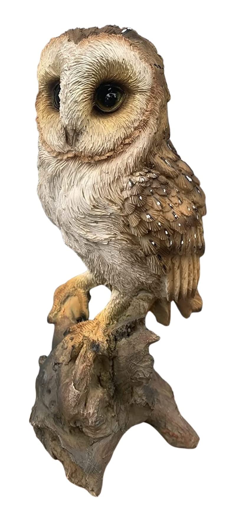 G&H Statue Decor – 24cm Barn Hoot Owl - British Birds Resin Figure - Hand Painted owl Ornament - Intricate Detail Suitable for Indoor or Outdoor Use - Weather Resistant Garden Birds - Bird Gifts