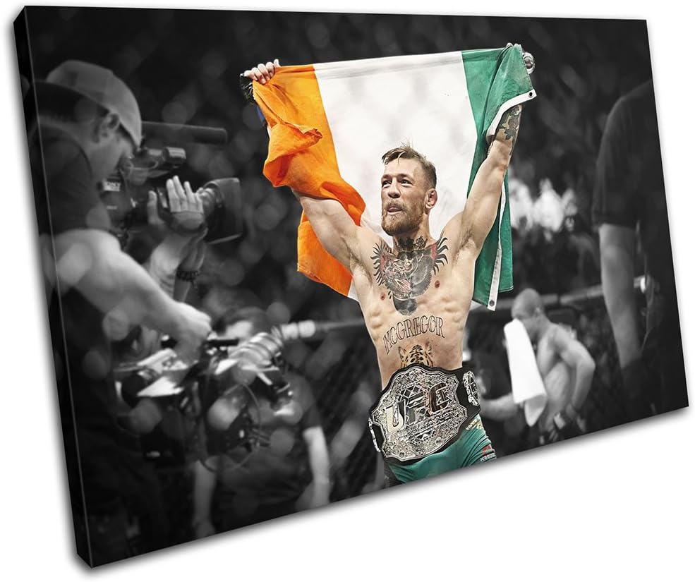 UFC、コナー・マクレガーのタイトル剝奪は行わず | Rolling Stone