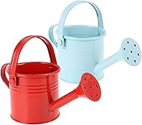 Vista 5 de DOITOOL 5 macetas de agua de jardinería: mini latas de riego de hierro (estilo mixto)