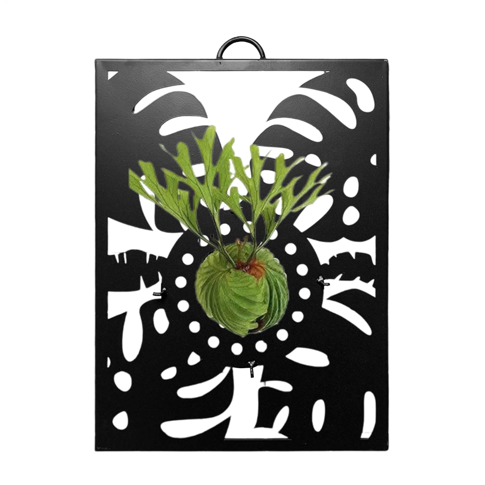 Treillage en métal pour jardinière murale au design épuré