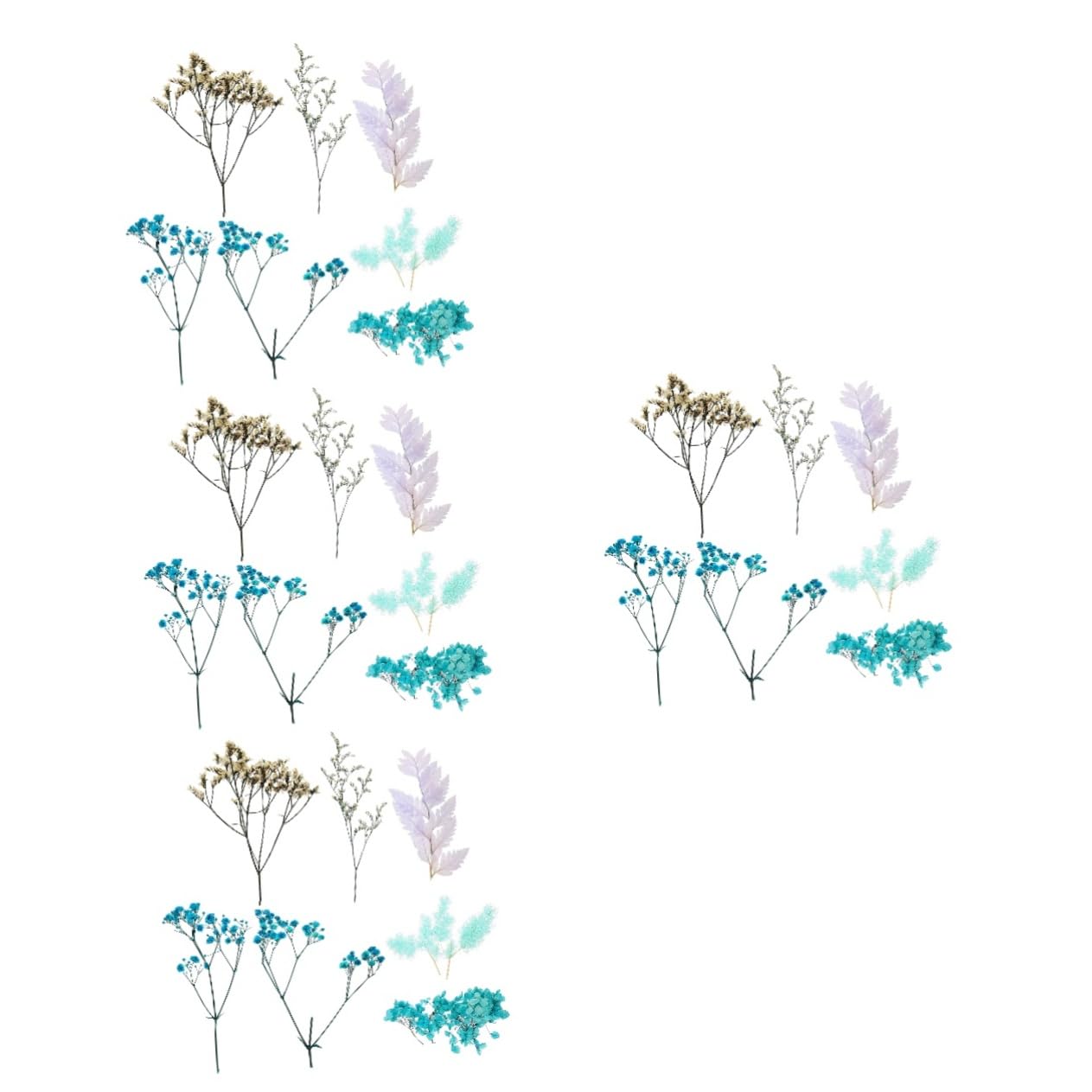 Abaodam Lot De 4 Fleurs Séchées Naturelles pour Projets Artisanaux Accessoires De Décoration Séchée Faits À La Main