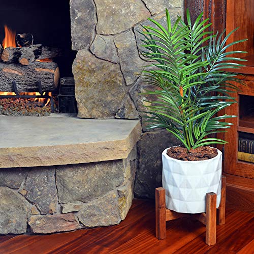 Mosser Lee Ml1151 Brown Forest Bark Soil Cover, 1.5 Dry Qt. #TOP5