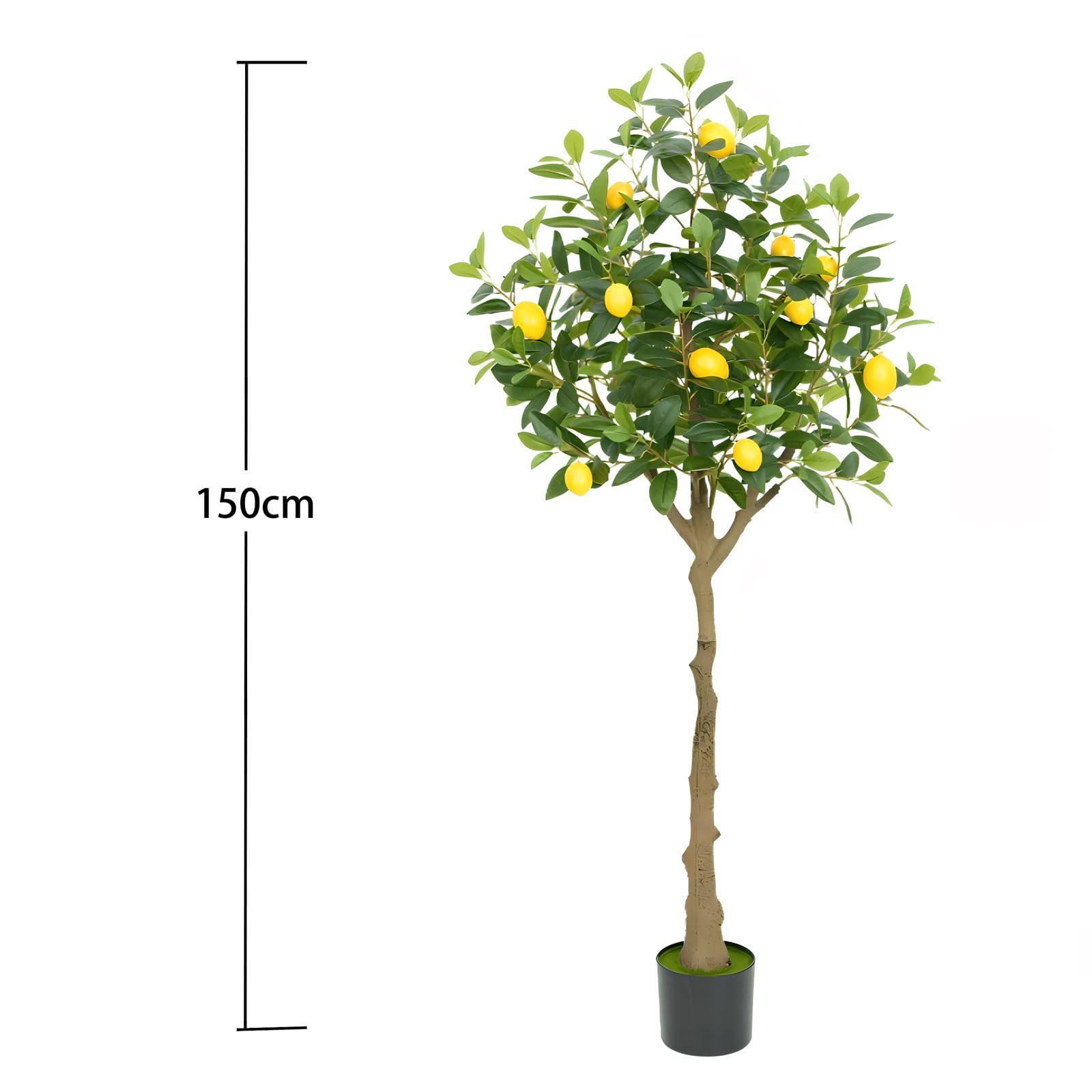 Amazon｜人工観葉植物 レモンの木 150cm フェイクグリーン 大型