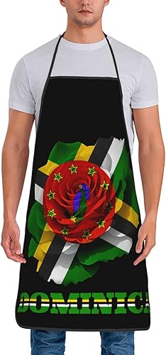 Miniatura 10 de Delantal para hombres y mujeres, ajustable, divertido, vintage, delantales para cocina, barbacoa y parrilla (sin bolsillos)