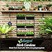 Garraí Vertical Garden Wall Planter. Ideal Indoor or Outdoor Container Gardening. Includes 6 Removable Pots and Wall Mounted Metal Frame. Self Draining Garden for Vegetables, Flowers or Herbs.