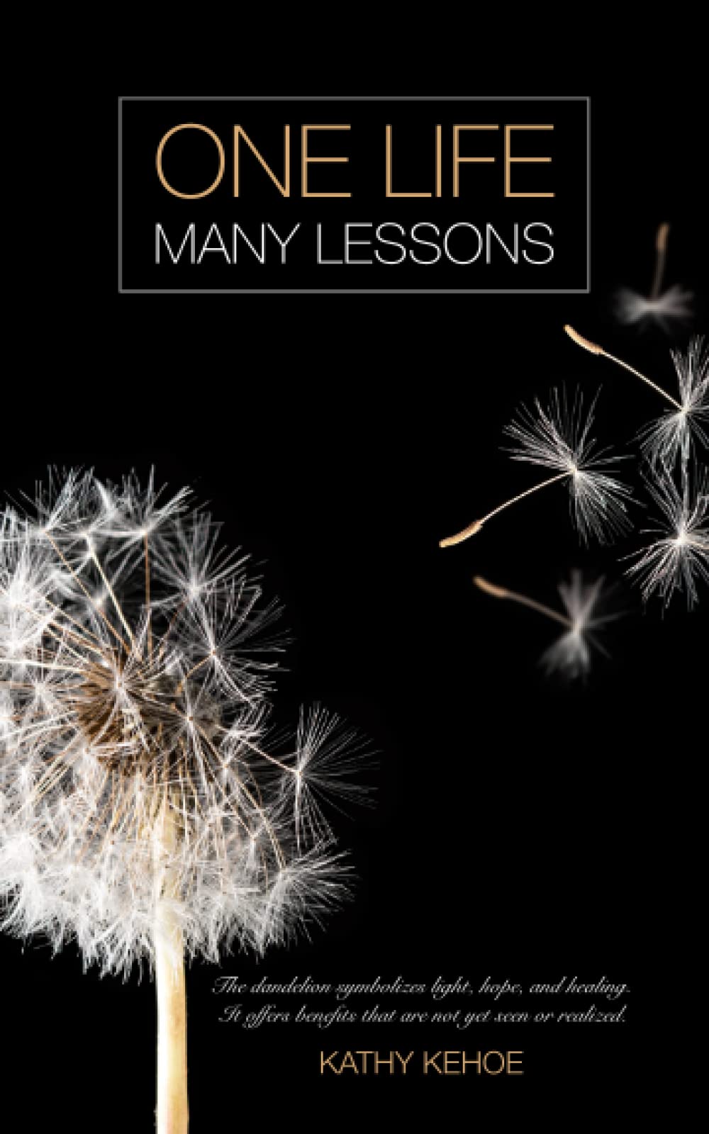 One Life ~ Many Lessons