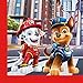 Produktbild Procos 93388 - Servietten Paw Patrol The Movie, 33 x 33 cm, 2-lagig, 20 Stück, FSC® Mix, Geburtstag, Mottoparty