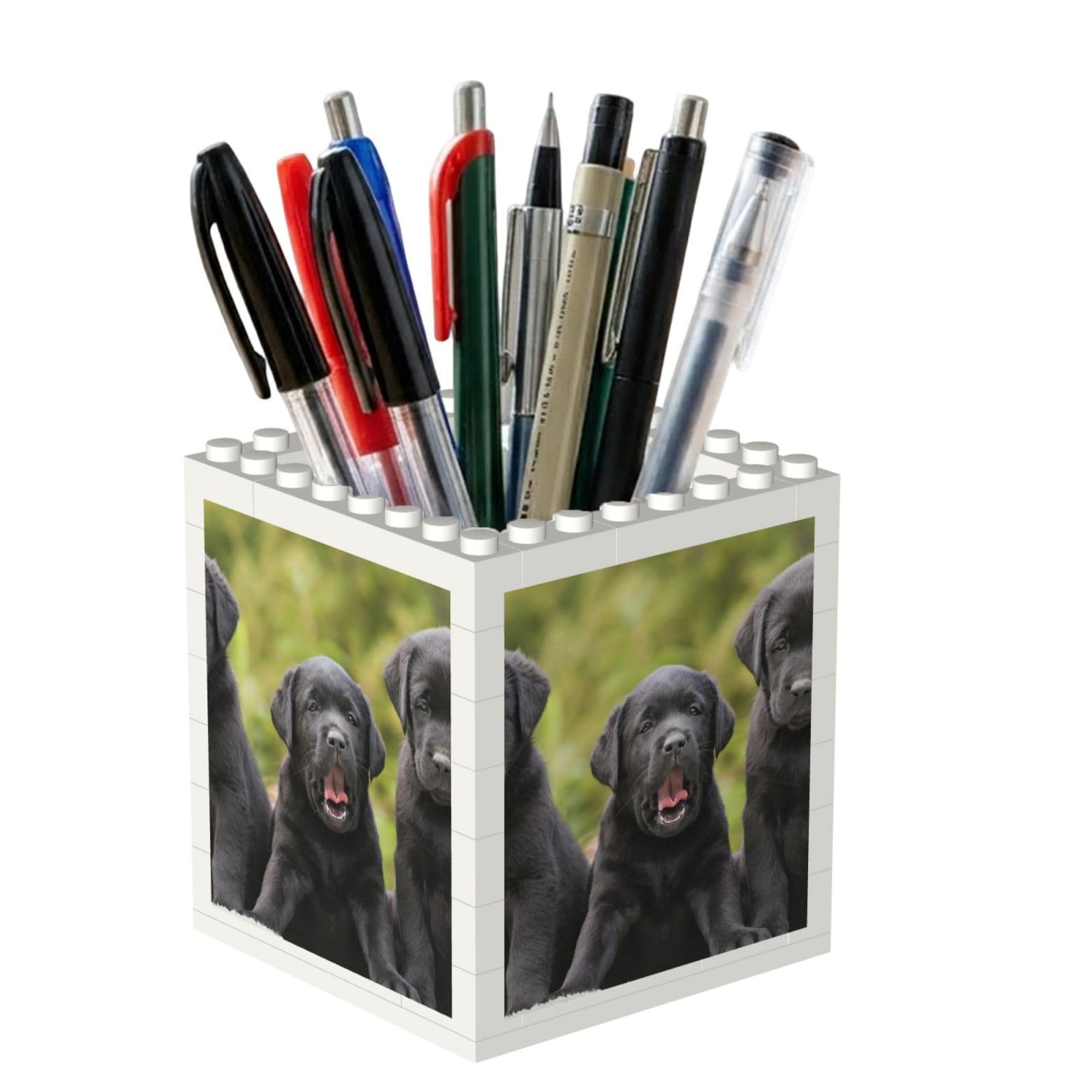 Poadnly Labrador Retriever Dog Print, Pen Pot Pencil Holder for Office Home School, Compact Desk Organiser for Office Stationery