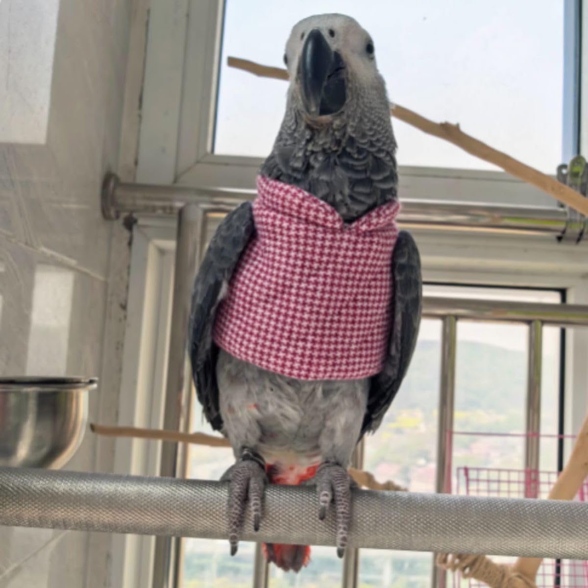 Bird Clothes for Christmas Halloween Holiday New Year, Light Flying Clothes, Warm and Comfortable, Bird Costume for Quaker Conure Macaw Cockatoo Lovebird Cockatiel (M)