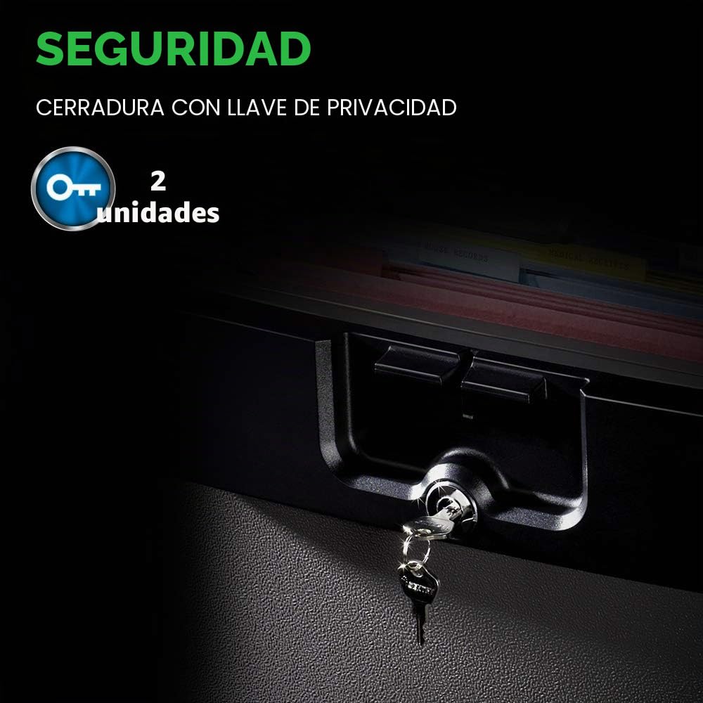 SentrySafe HD4100CG - Archivador impermeable ignífugo, color negro