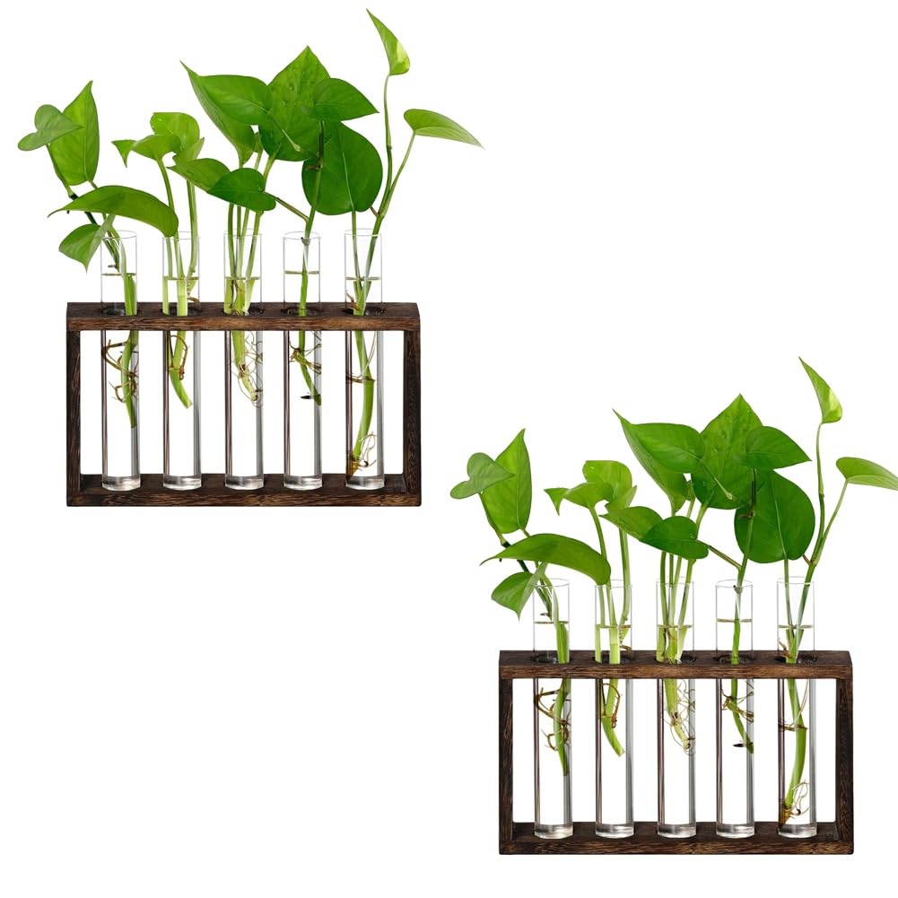CTRLZS Wall Mounted Desktop Terrarium Planter Plant Propagation System-5-Tube Hydroponic Glass Vase Featuring Wooden Stand for Space