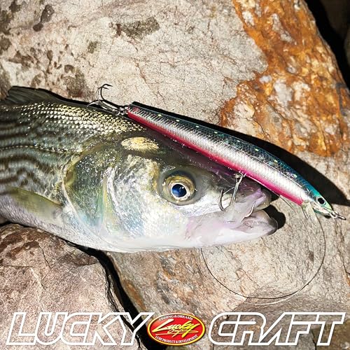 Lucky Craft USA: Saltwater