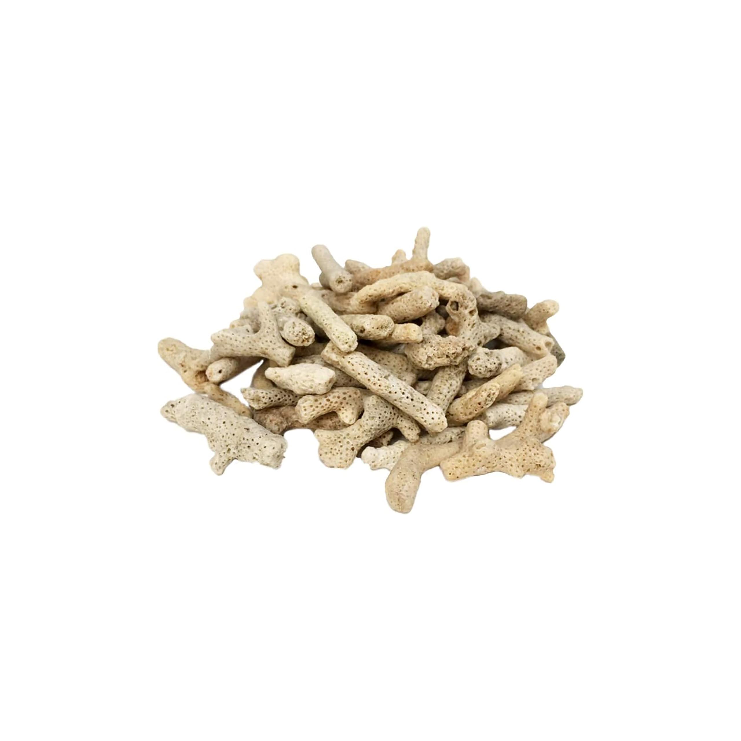 Cature Natural Coral Stone Fish Tank Filter Media Aquarium Filter Material Tank Pond Fish Tank Media Decoration for Fresh Water Sea Water Aquarium Fish Tank (1.95 Kg)(White) (B0D182PY5T) Amazon Price History, Amazon Price Tracker