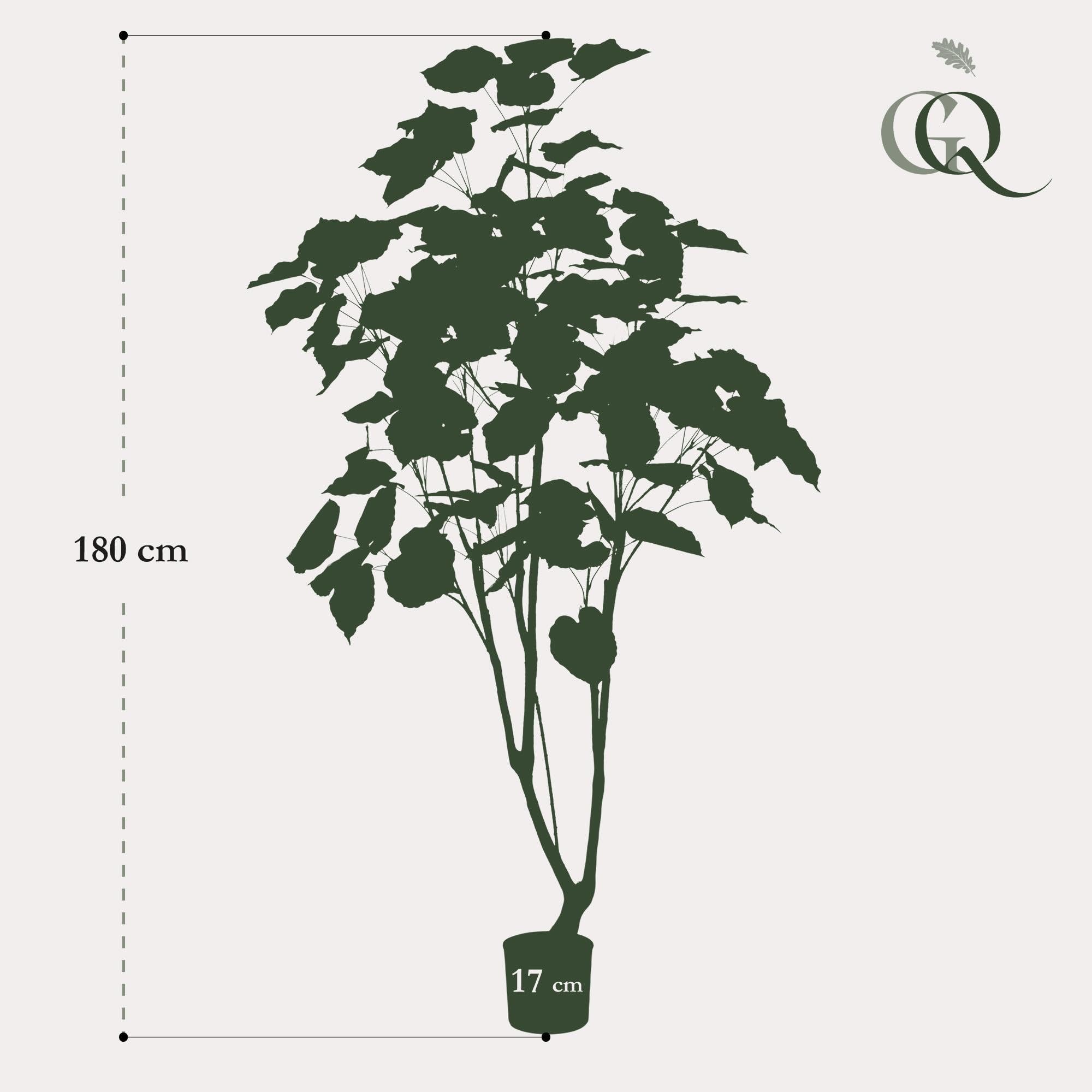 Kunstpflanze Ficus Umbellata Afrikanische Feige ca. 180 cm hoch ca. 180 cm