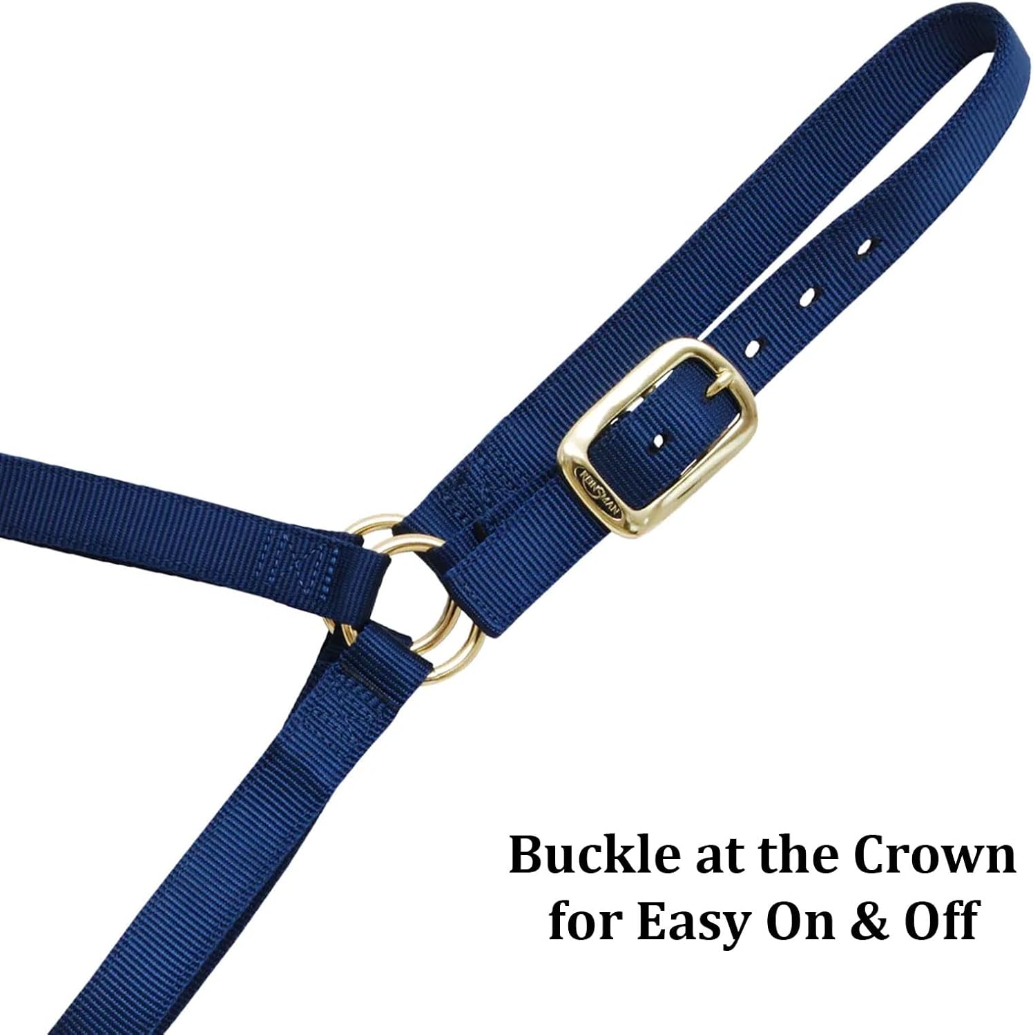 REINSMAN Classic Nylon Halter (9709) | Durable Double-Ply 1-Inch Nylon Halter with Adjustable Buckle at Crown & Resistant Hardware | Horse Tack for Everyday Riding