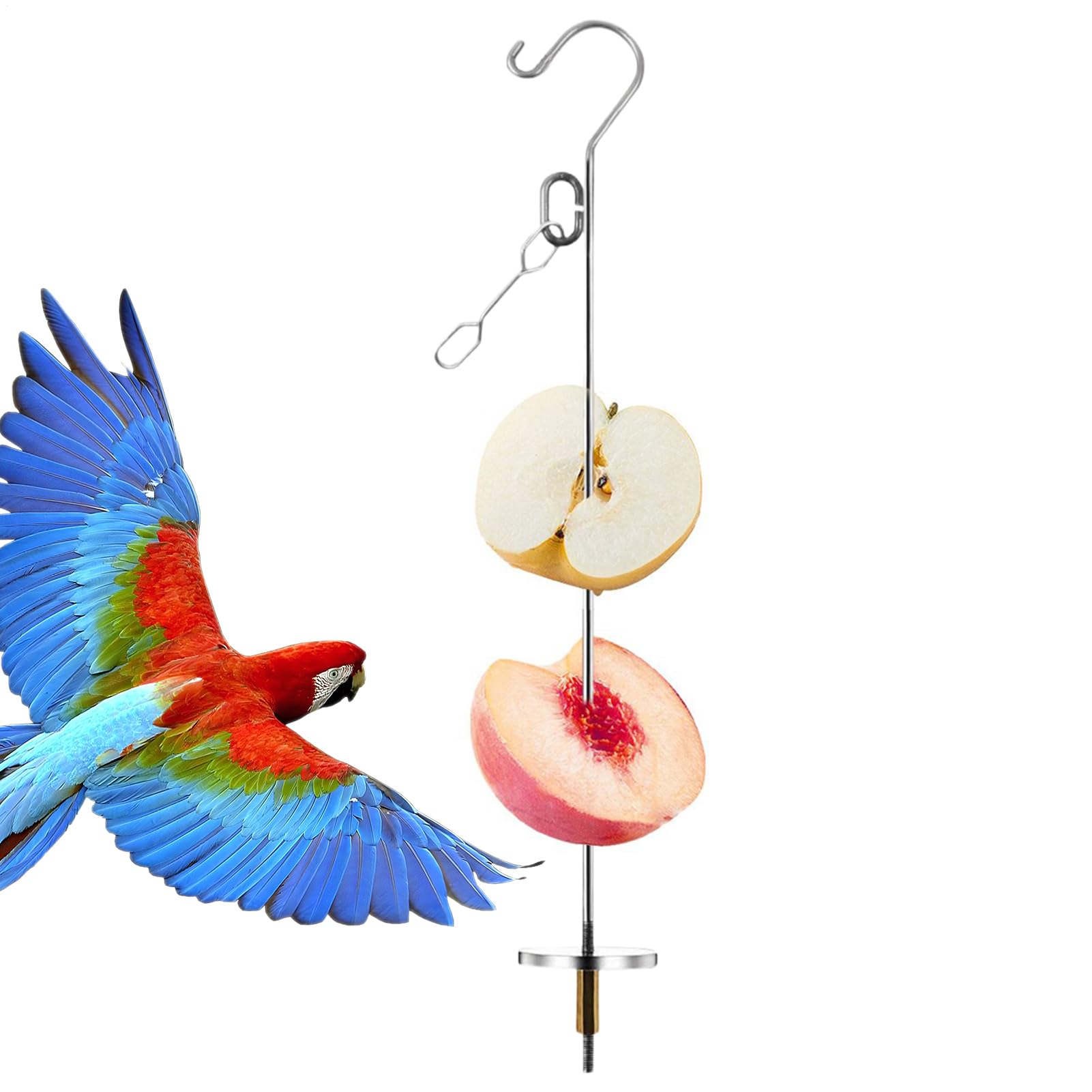 Porta Cibo Per Uccelli, Spiedino In Acciaio Inossidabile Per Pappagalli, Decorazione Interna Gabbia, Giocattolo di Foraggiamento Arricchimento per Animali Taglie Piccole
