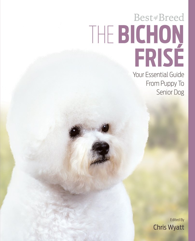 The Bichon Frise: Your Essential Guide from Puppy to Senior Dog