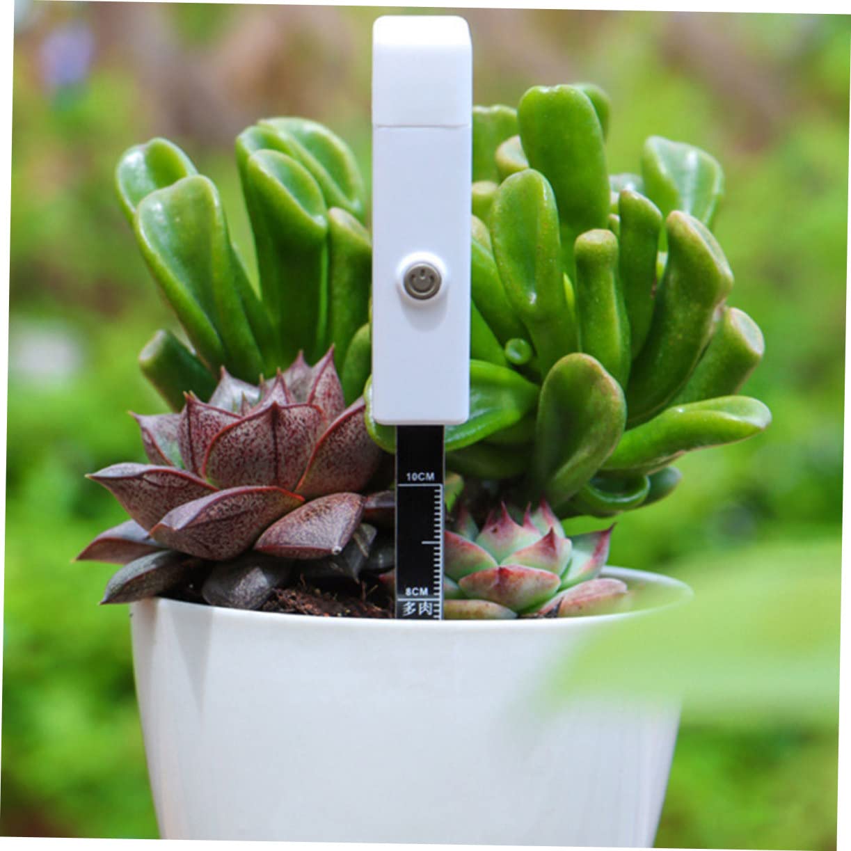 BESPORTBLE 3 Pièces Détection De L'humidité du Sol Usine Mètre Médite De Jardin Capteur pour Numérique Compteur De Sol Détecteur D'humidité Testeur De Sol De Jardinage Le Fer Blanche