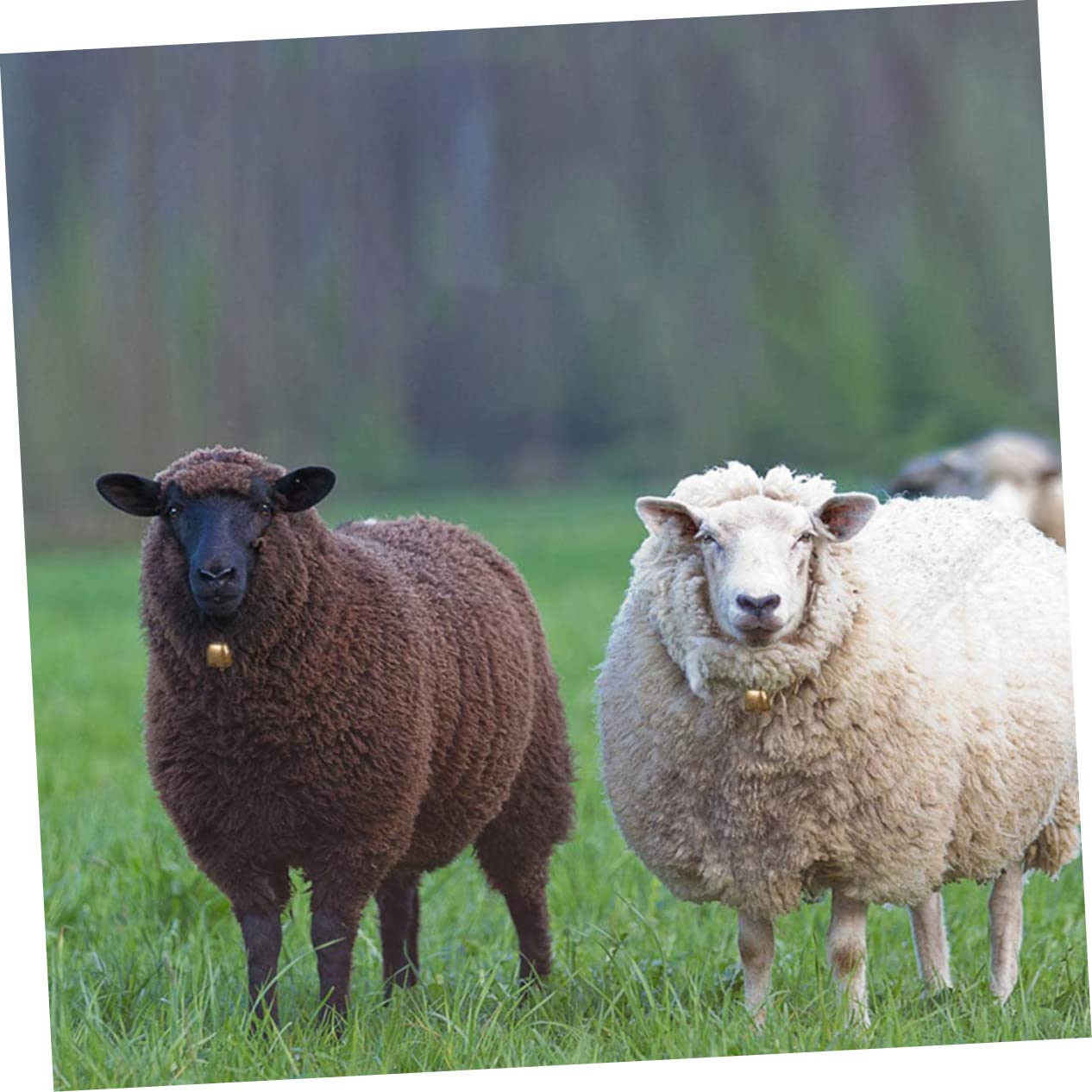 INOOMP 3pcs Pet Bell Bells Bell Bell for Pet Collars Bells Bell Cheering Bell Small Cowbell Kitten Bell Doorbell Pet Jingle Bell Pu